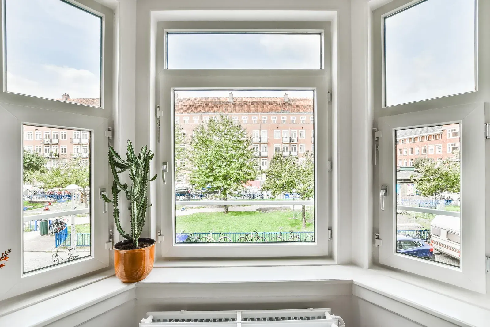 White-framed bay windows overlooking a city park; a cactus sits on the windowsill.