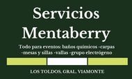 Mentaberry LOGO