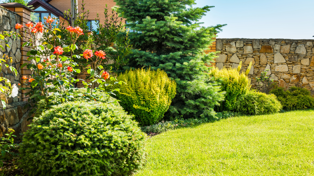 A lush green garden with a stone wall and a house in the background.