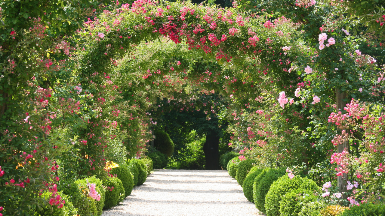 A path lined with bushes and flowers leading to an archway.
