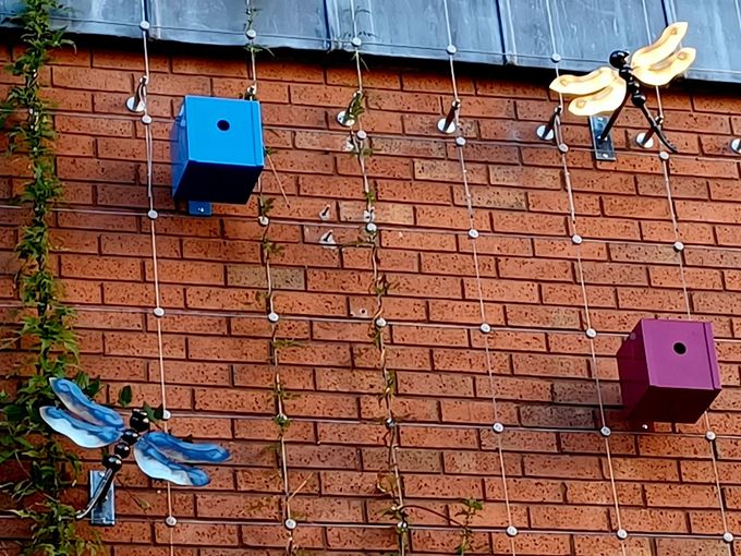 Dragonfly Wall Art & Bird Boxes on Living Wall