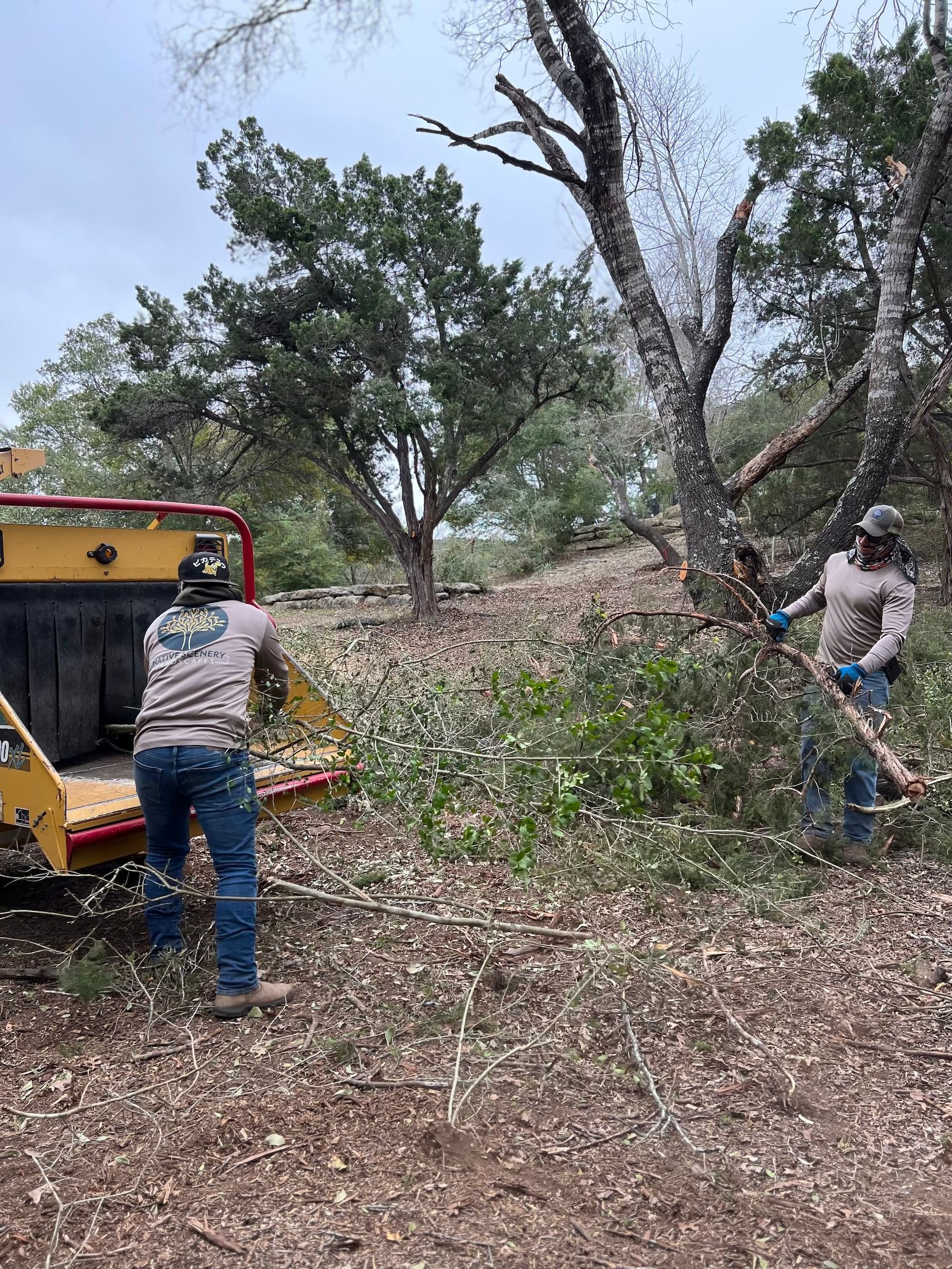 Two men are cutting a tree in the woods with a machine.