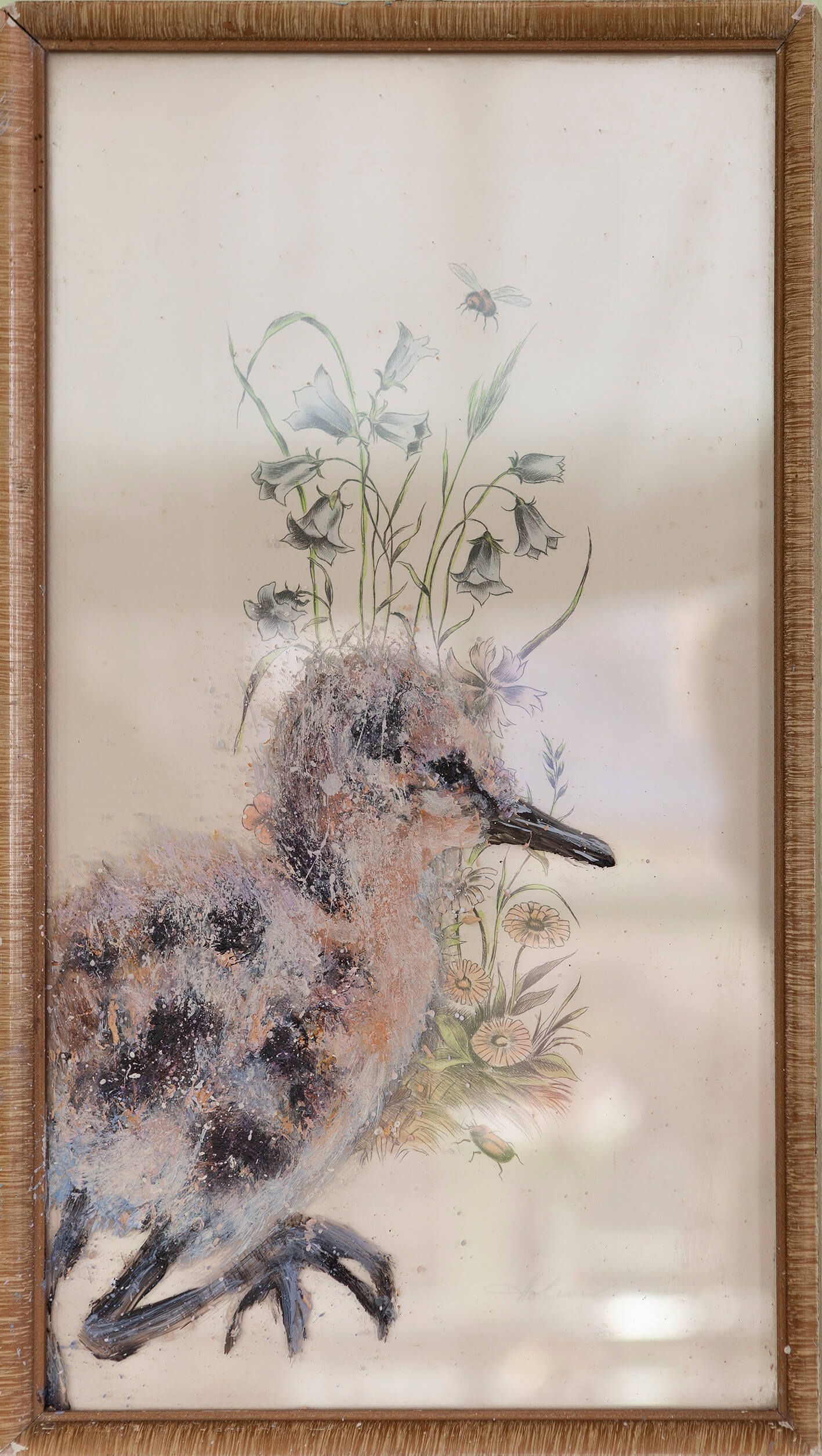 Jonge grutto geschilderd op het glas van een vintage botanische prent. in een bruine lijst.