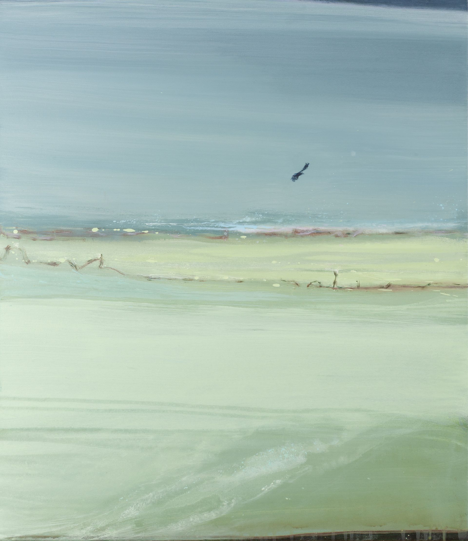 Rustig landschap: lichtgroen en blauw water met een smalle strook land; een donkere vogel vliegt.