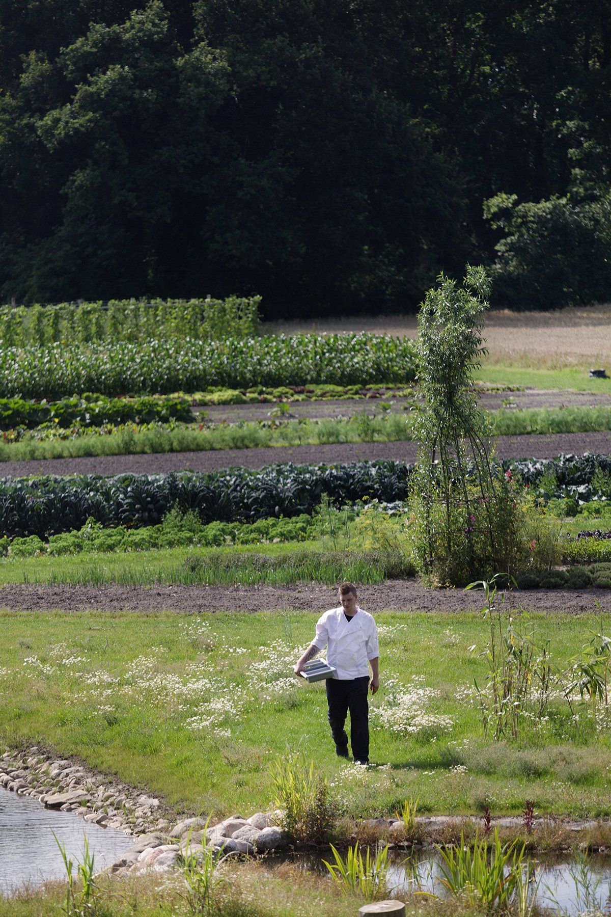 Een man in een wit overhemd loopt langs een tuin met een dienblad in zijn handen. Velden en bomen op de achtergrond.