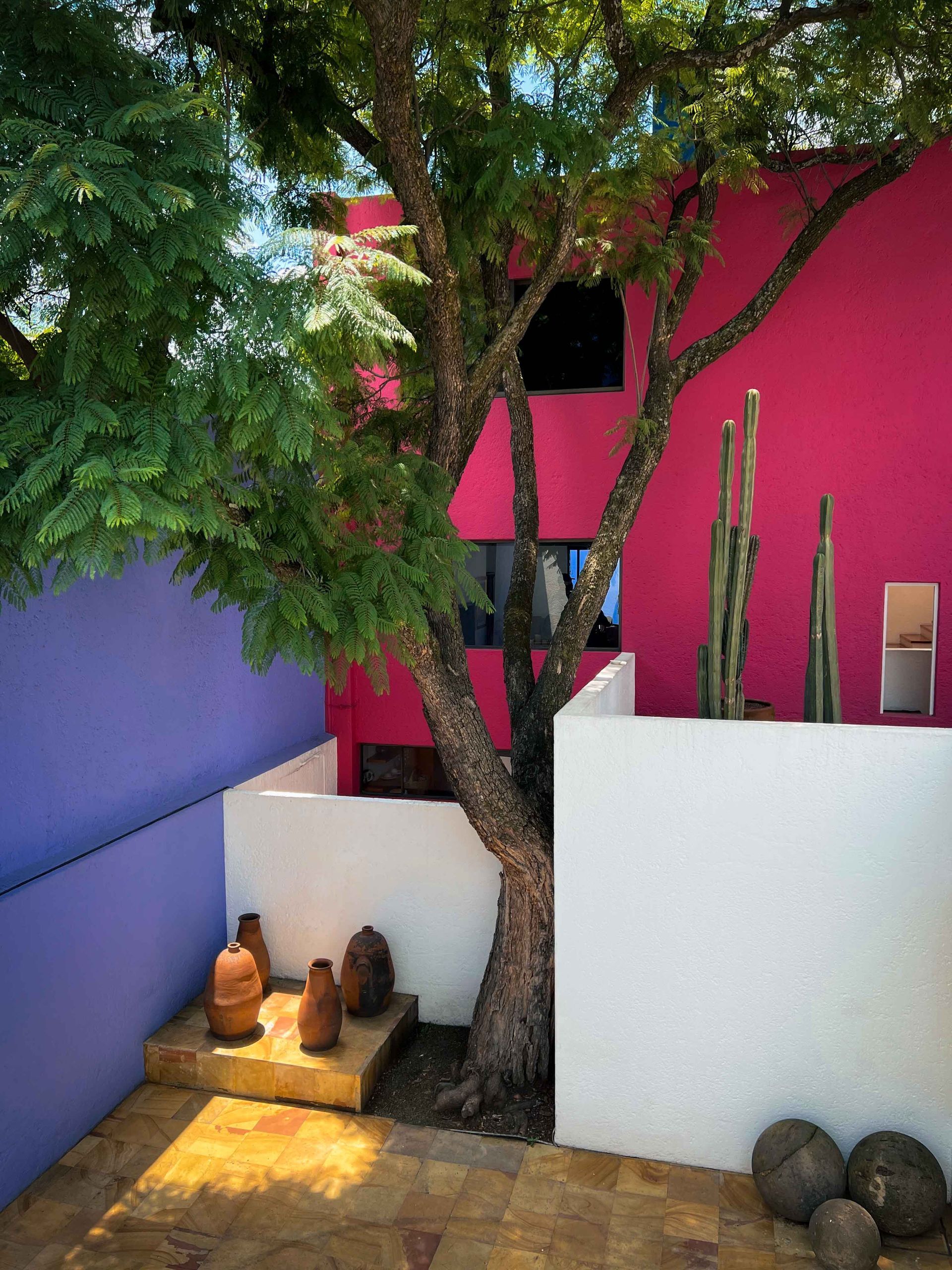 A pink building with a tree in front of it