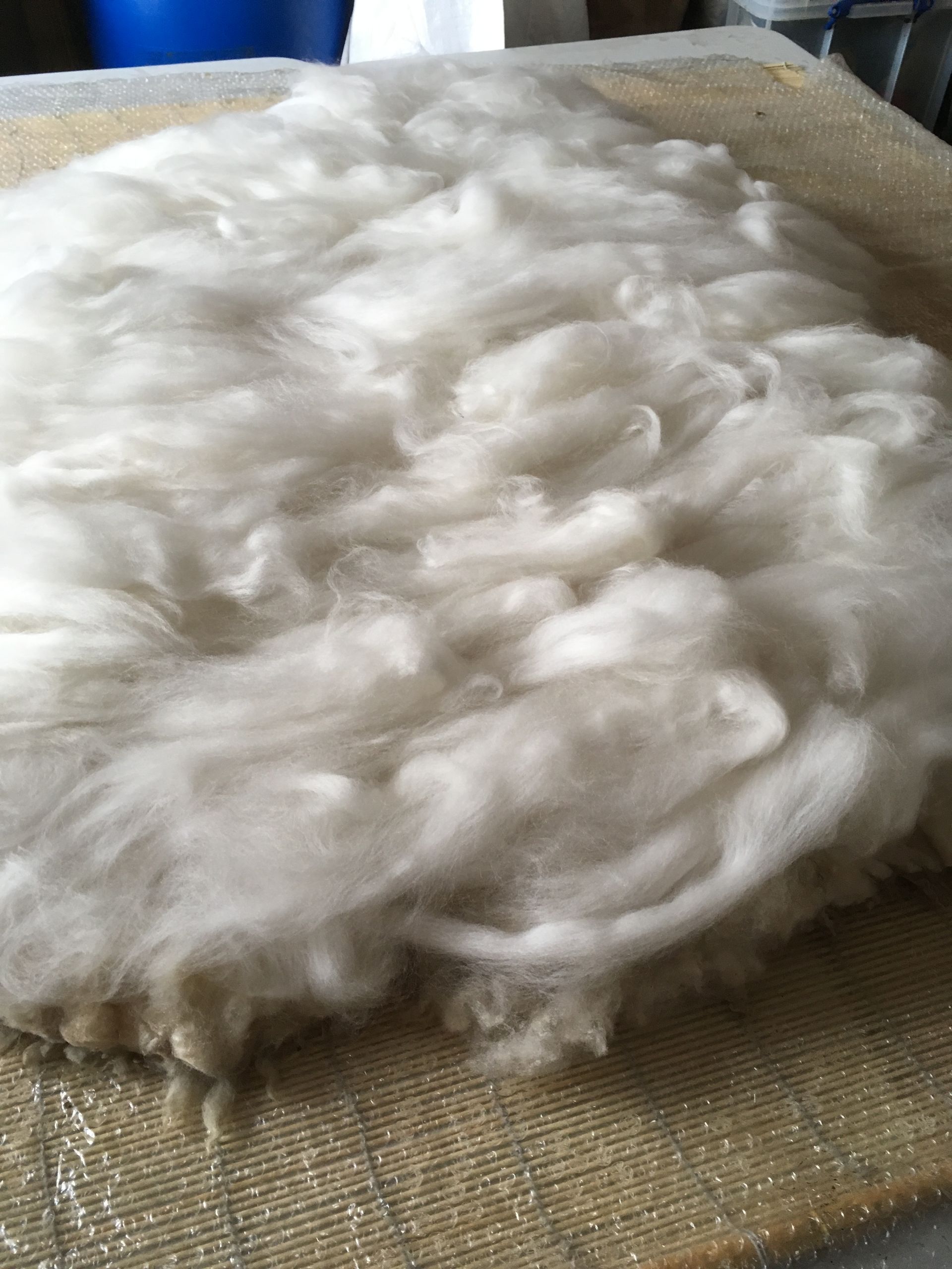 Making a Living Rug 
