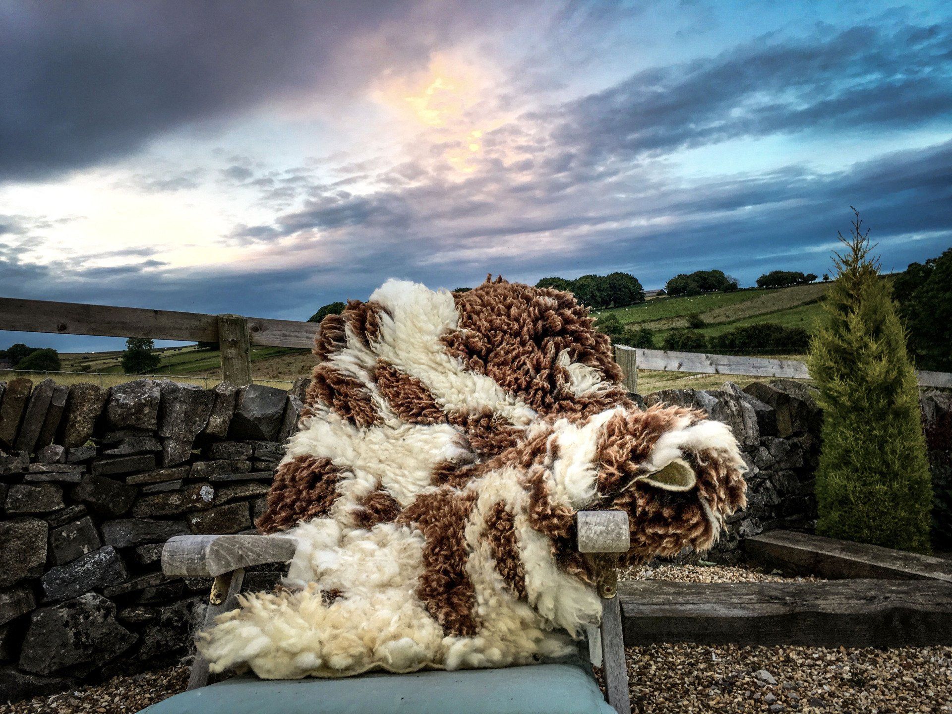 Handmade felted sheepskin made by The Living Rug Company