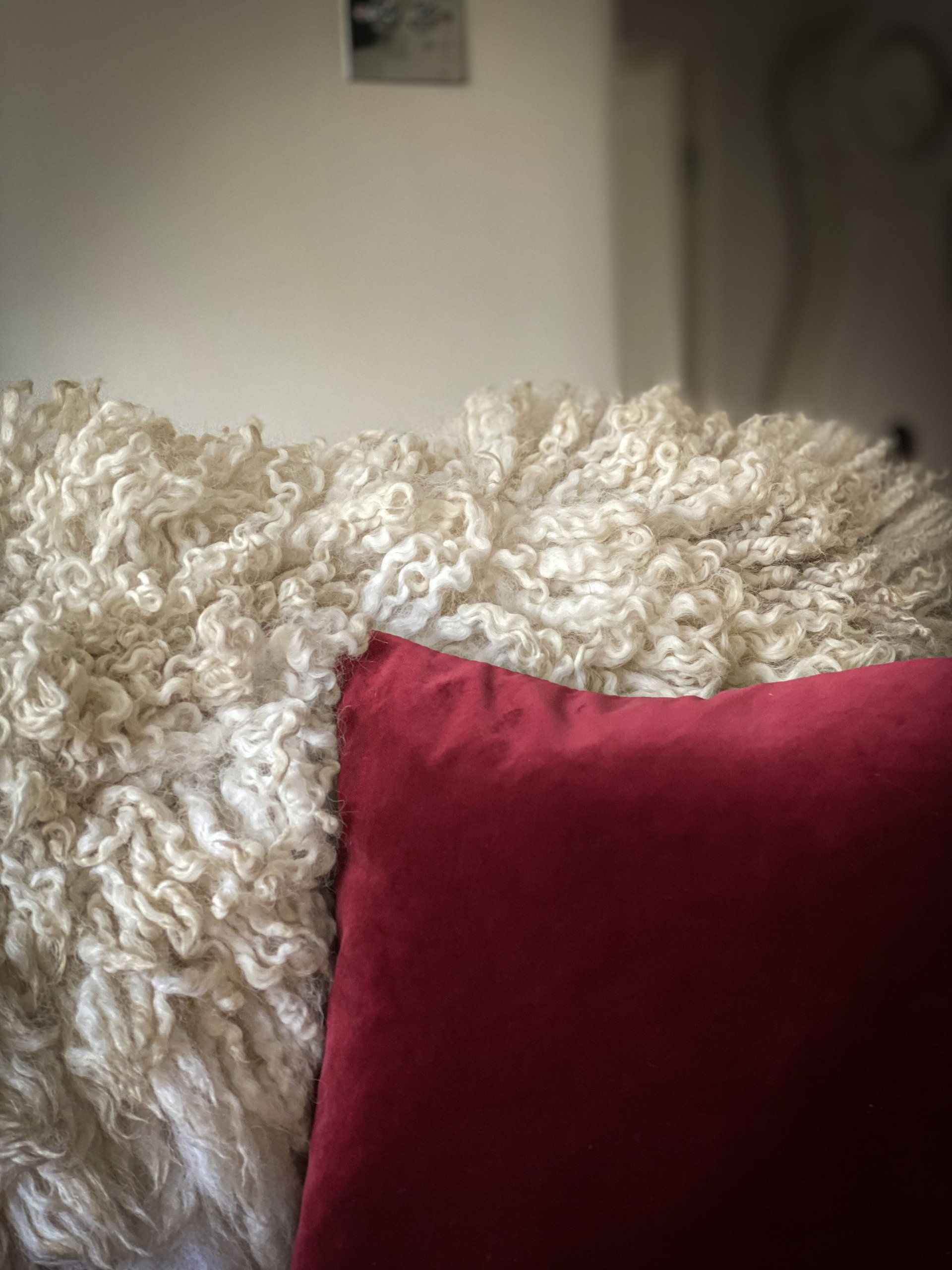 How to take care of your Living Rug...