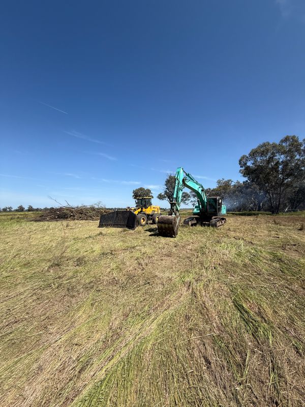 Land clearing