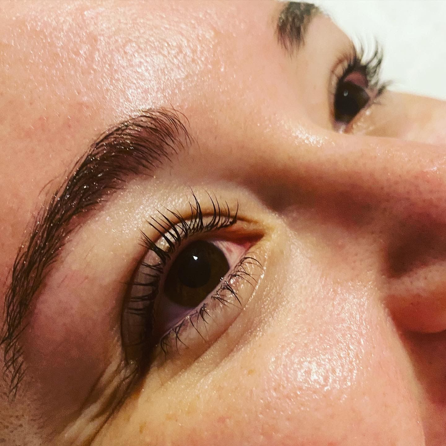 Close-Up of Eye with Lifted Lashes and Full, Shaped Eyebrow — Soul Good Beauty in Miami, QLD