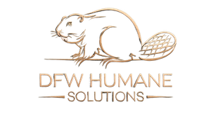 DFW Humane Solutions | Commercial trapping and relocation