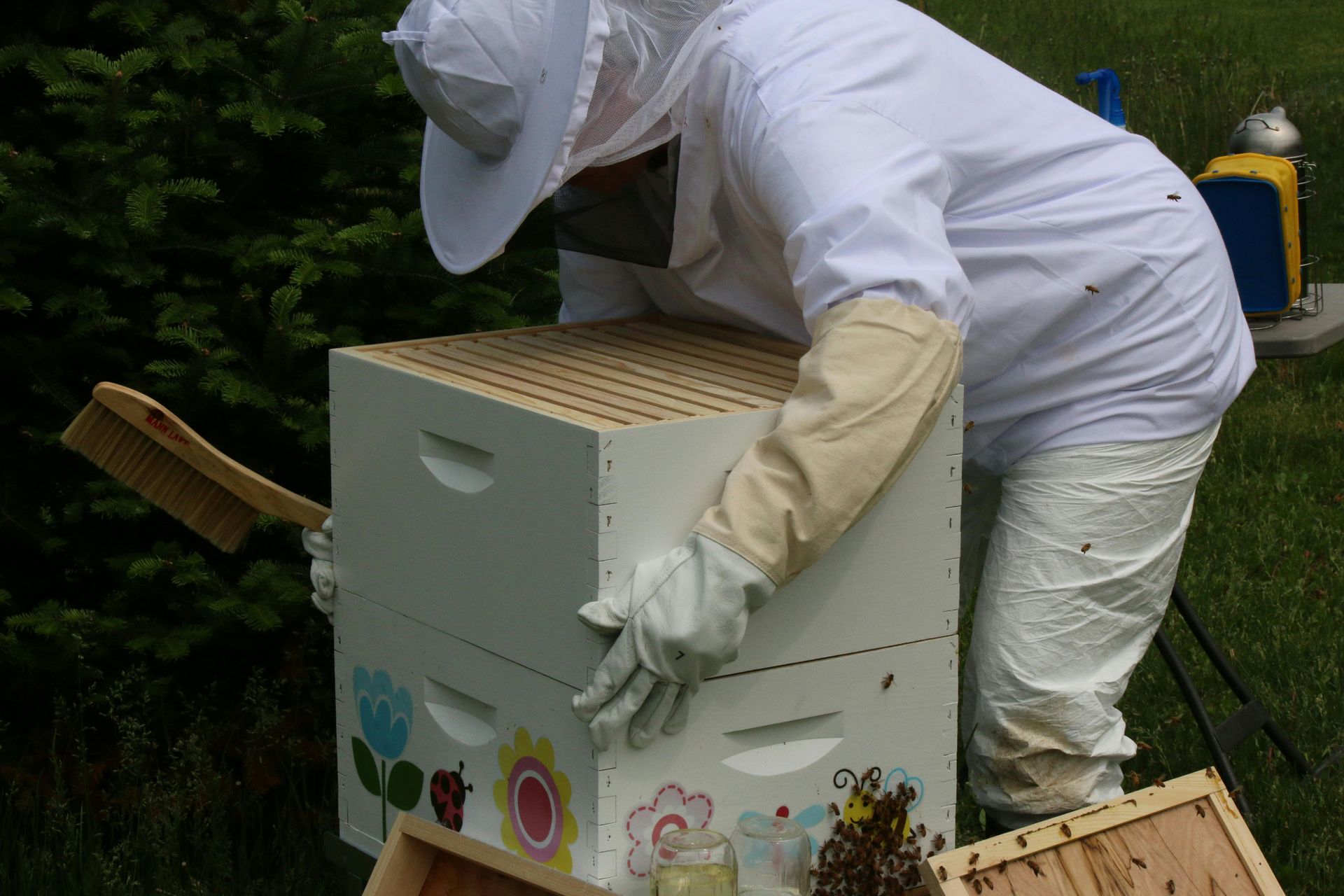 Bee Relocation Company near me