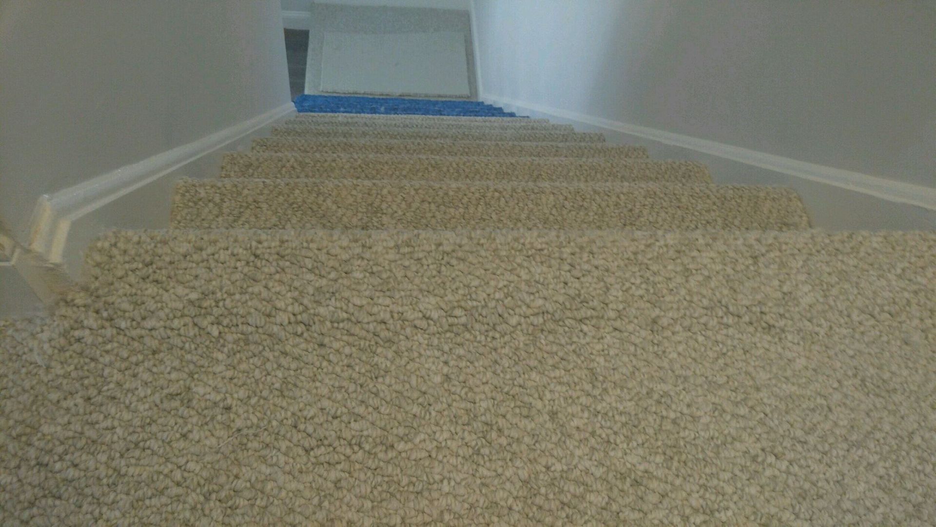 Installed print carpet