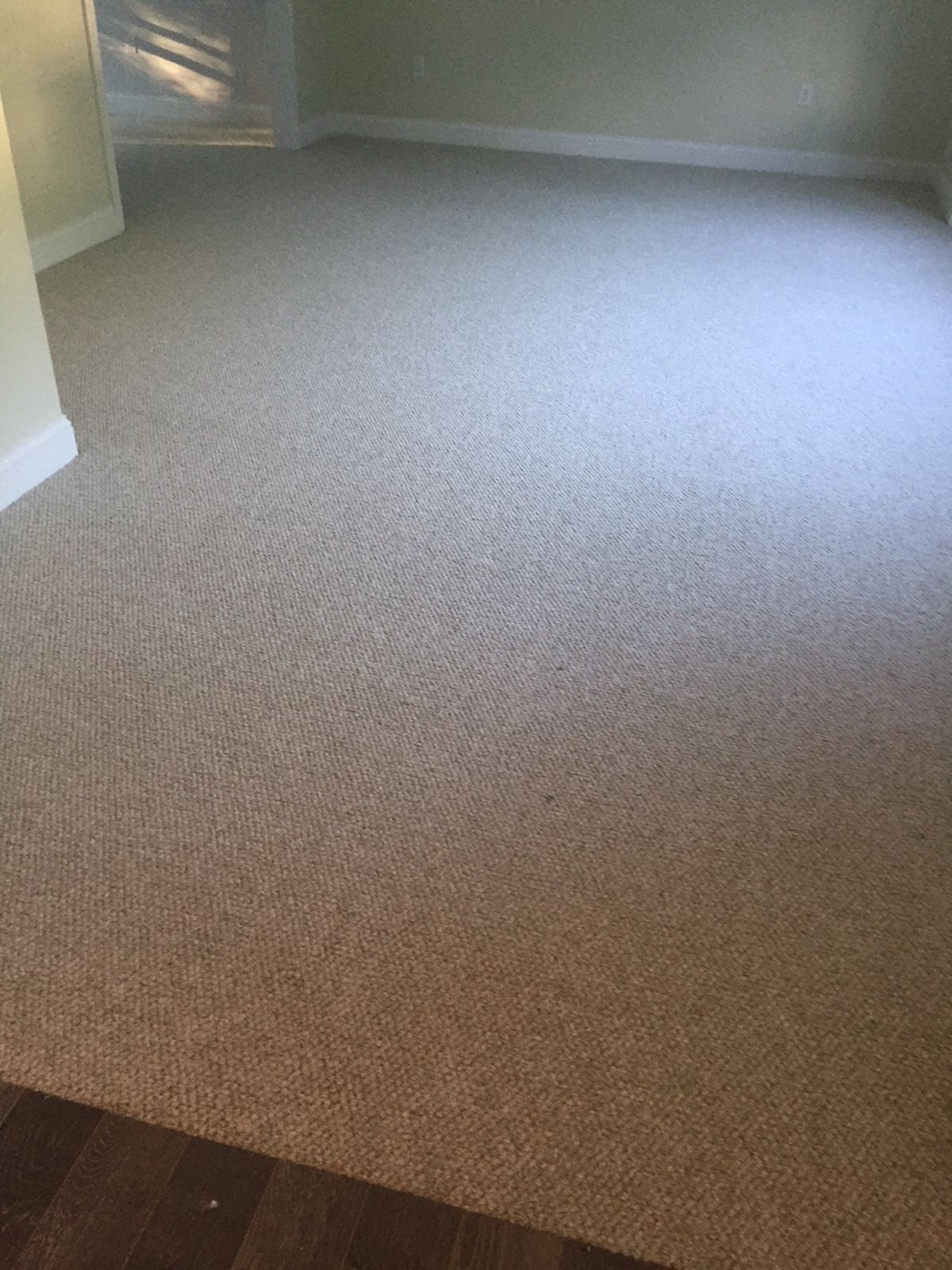 Carpet