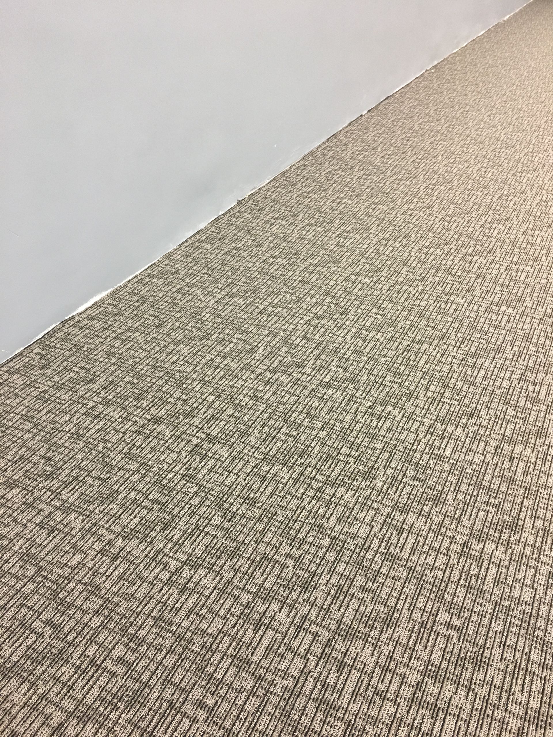 Installed carpet: Commercail