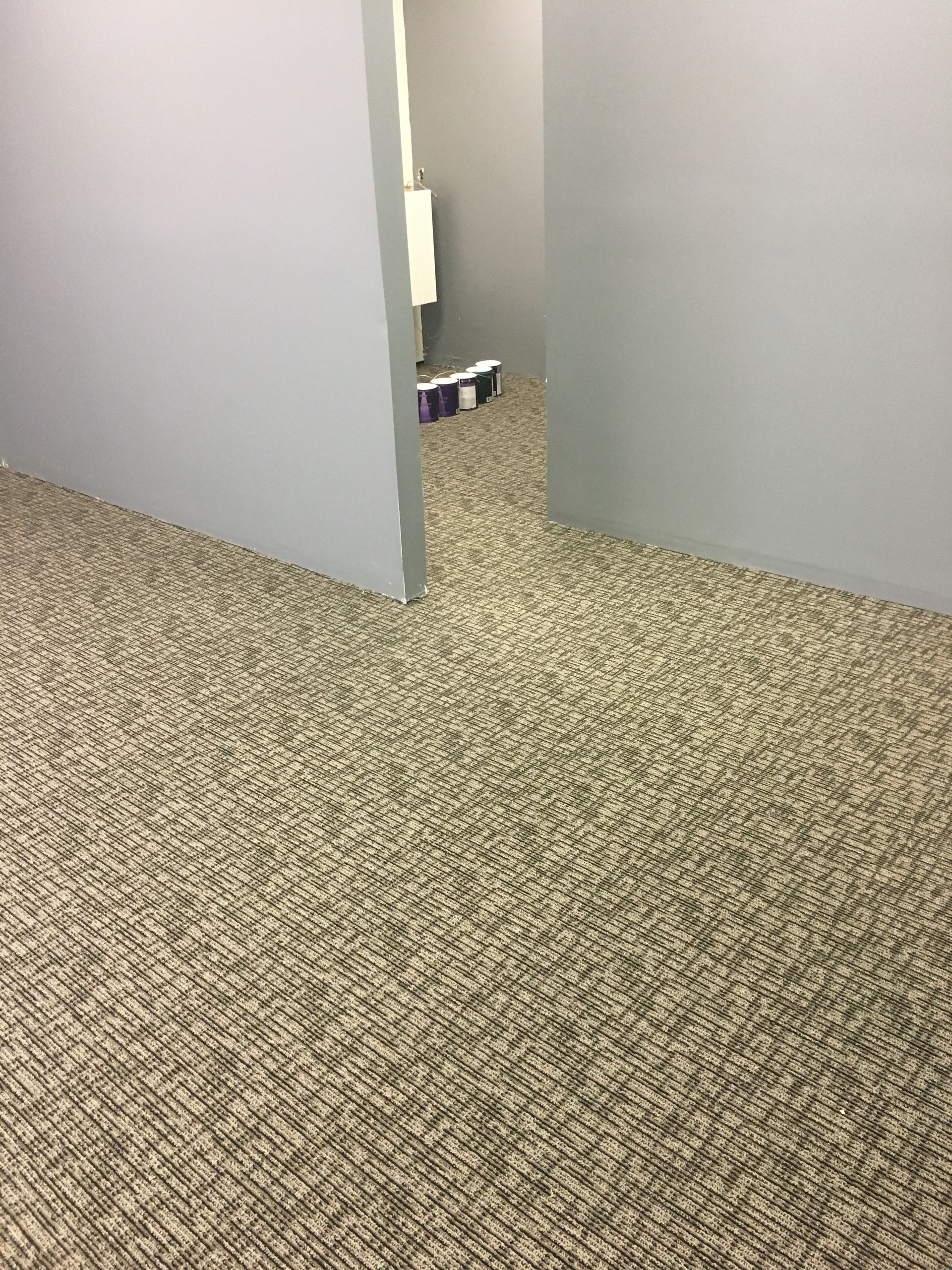 Installed print carpet: commercial