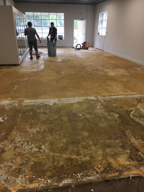 Vinyl Plank flooring : Before