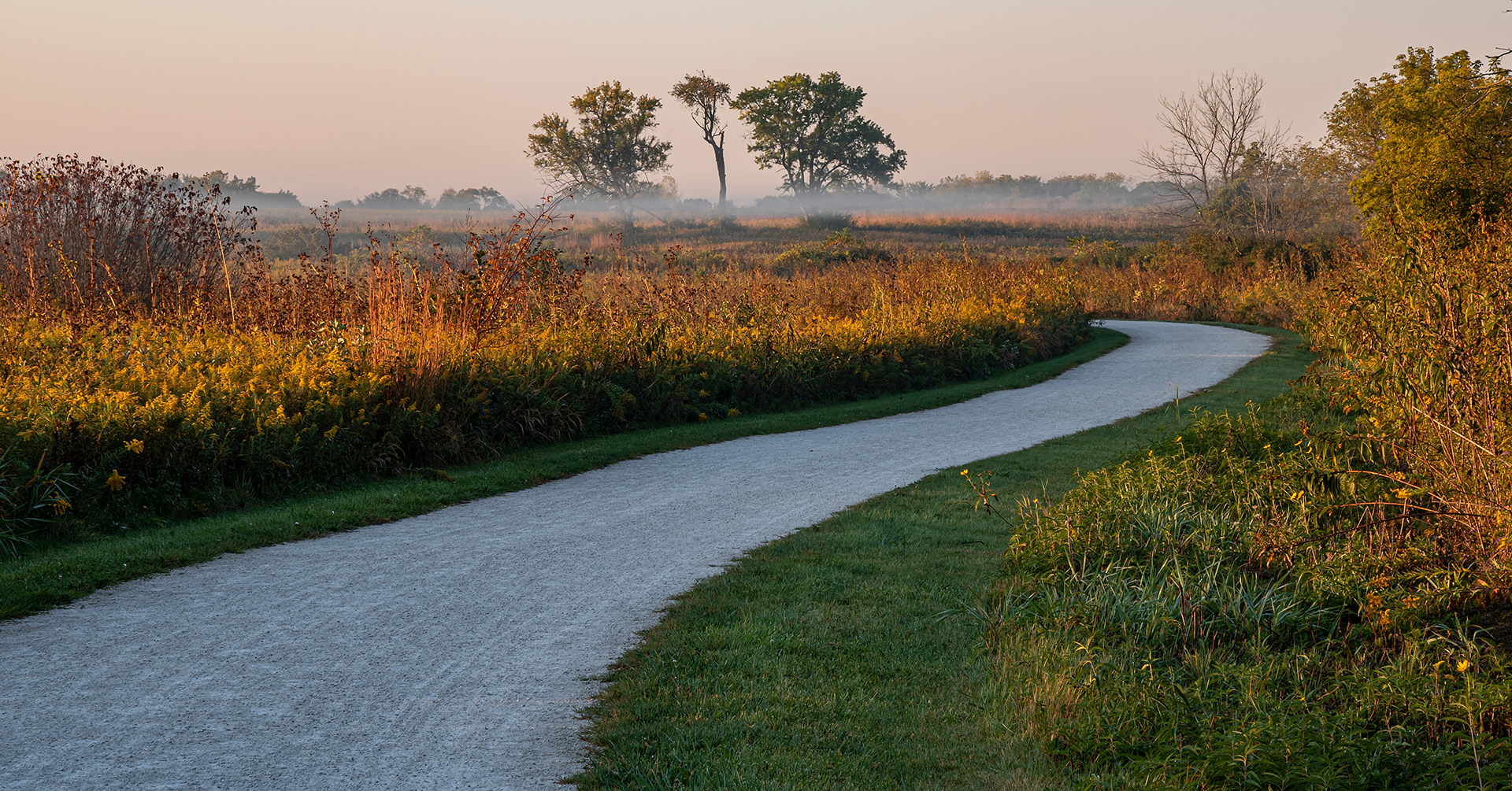 Winding gravel path through a marsh, lit by warm sunlight. Trees in background, misty sky.