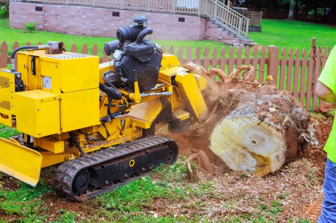 Industrial yellow stump grinder removing a large tree stump in a yard.
