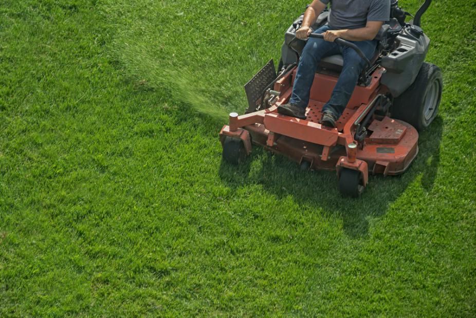 Man is Riding a Lawn Mower on a Lush Green Lawn — Active Cleaning Service Rutherford, NSW