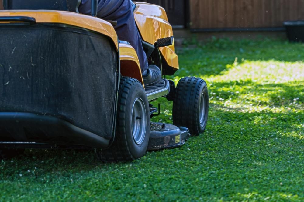 Man is Riding a Lawn Mower on a Lush Green Lawn — Active Cleaning Service Newcastle, NSW