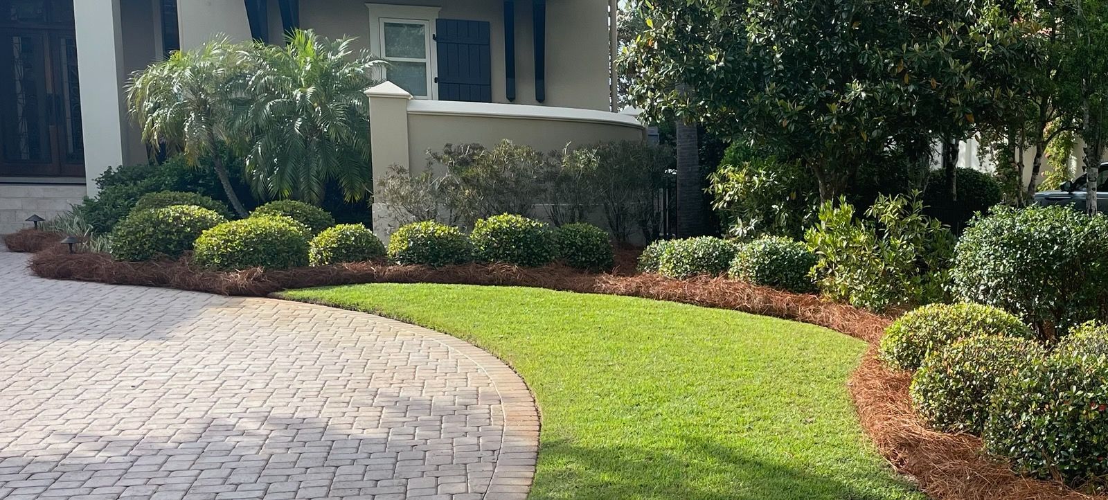 Sprinklers watering a field of green crops under a blue sky with white clouds.