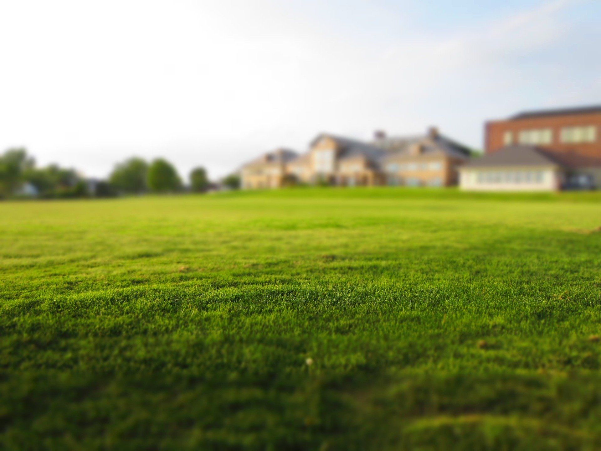 Long green lawn