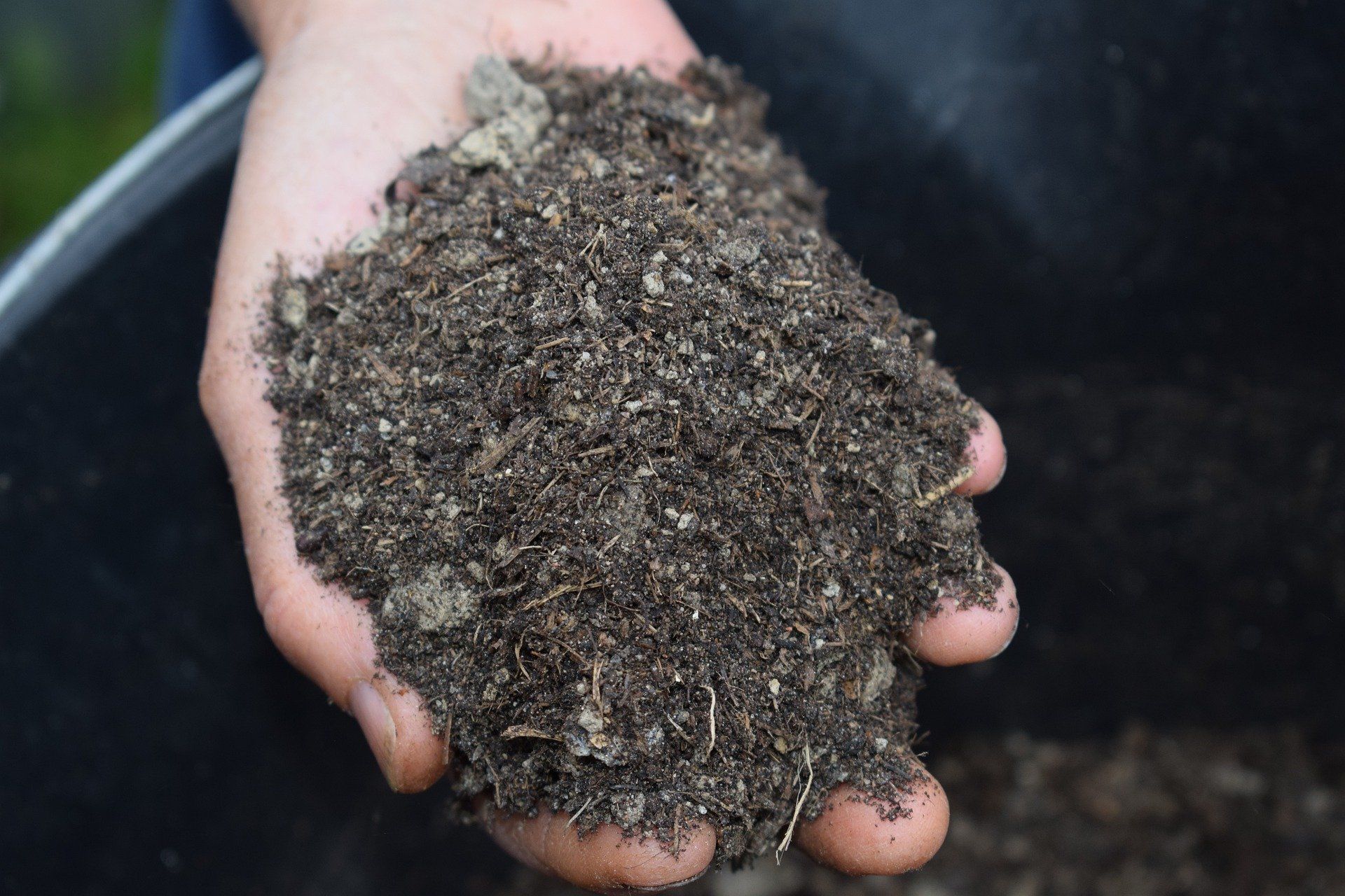 Mulch and soil