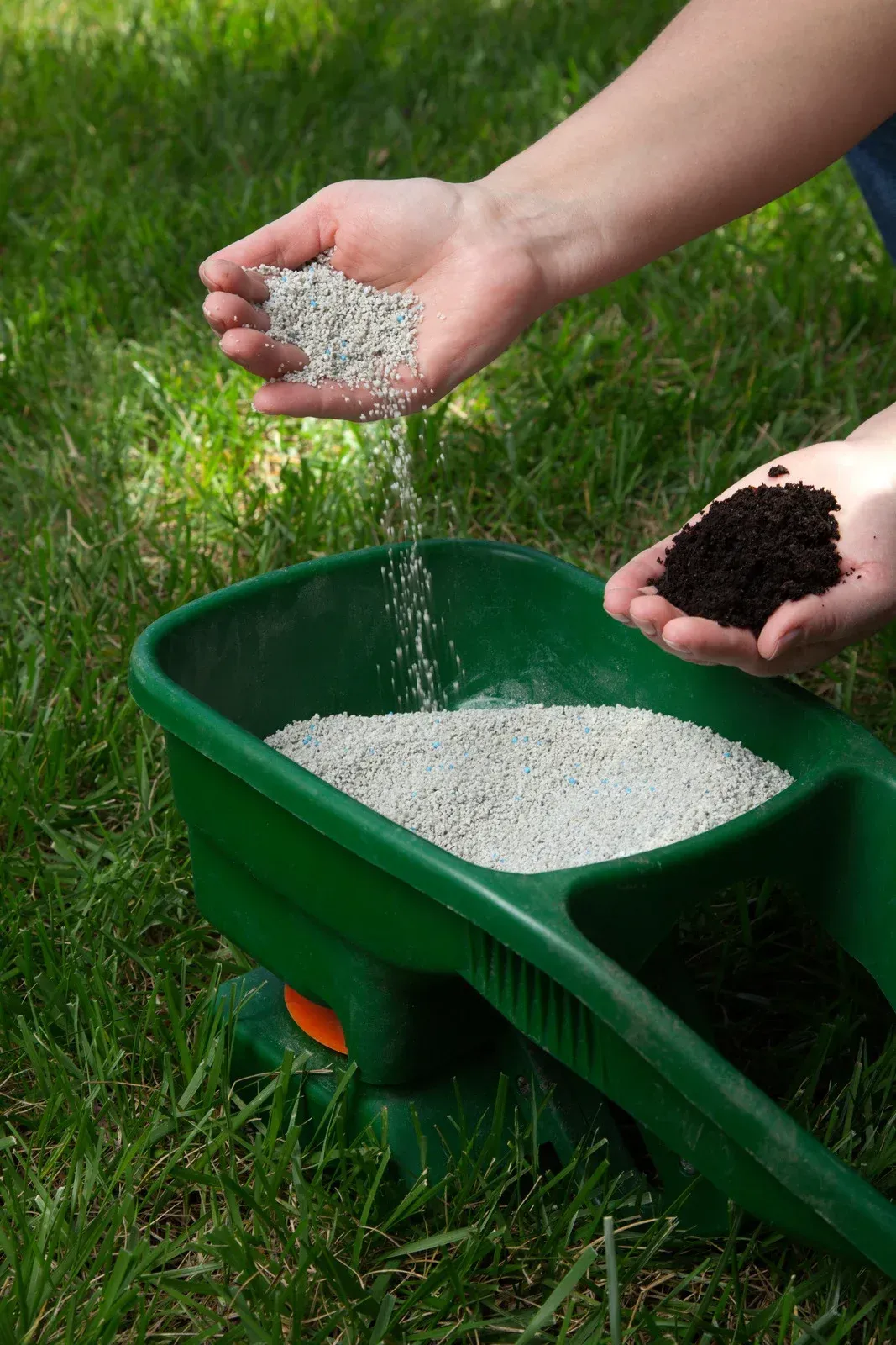 A person is pouring fertilizer into a green wheelbarrow.