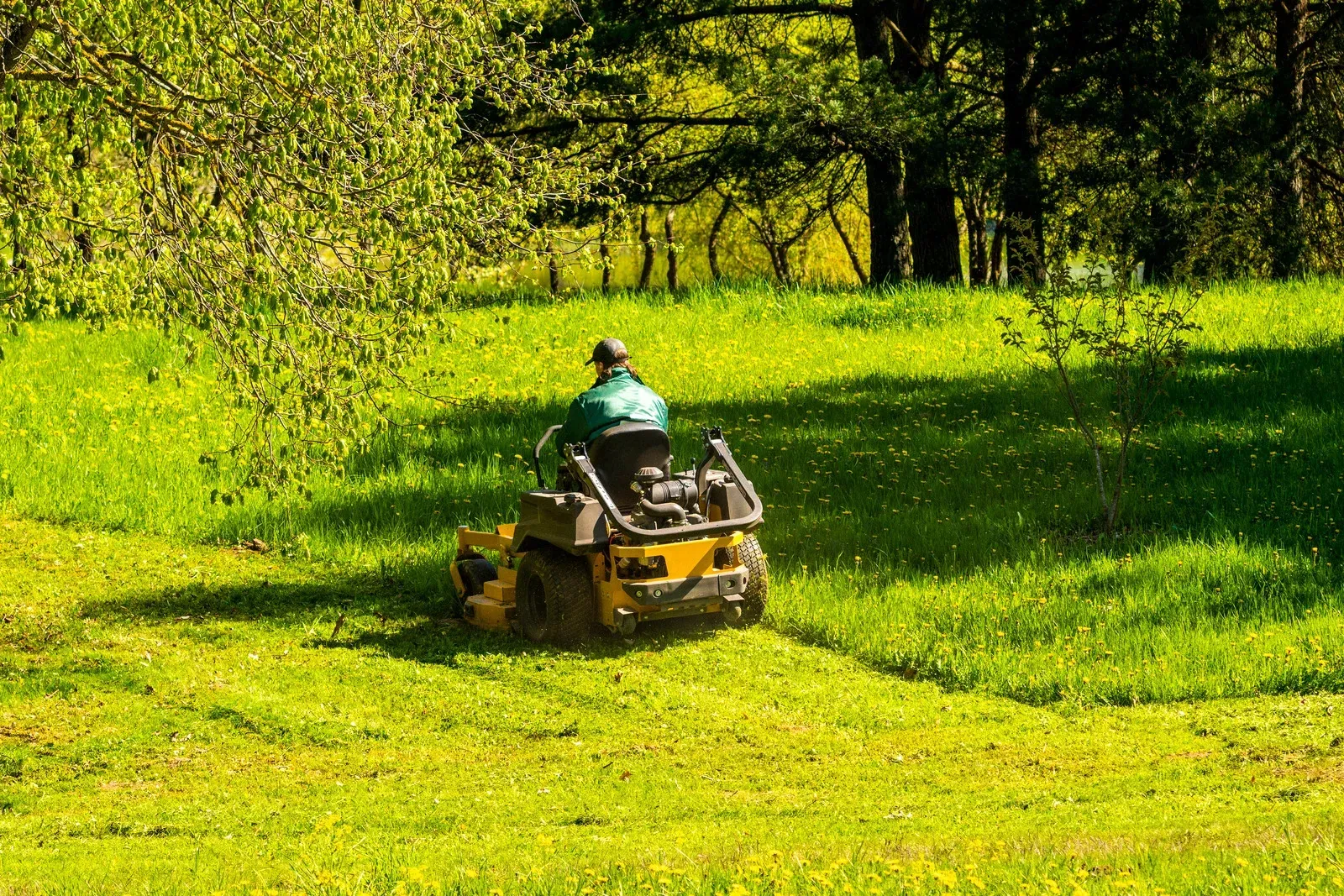 A man is riding a lawn mower through a lush green field.