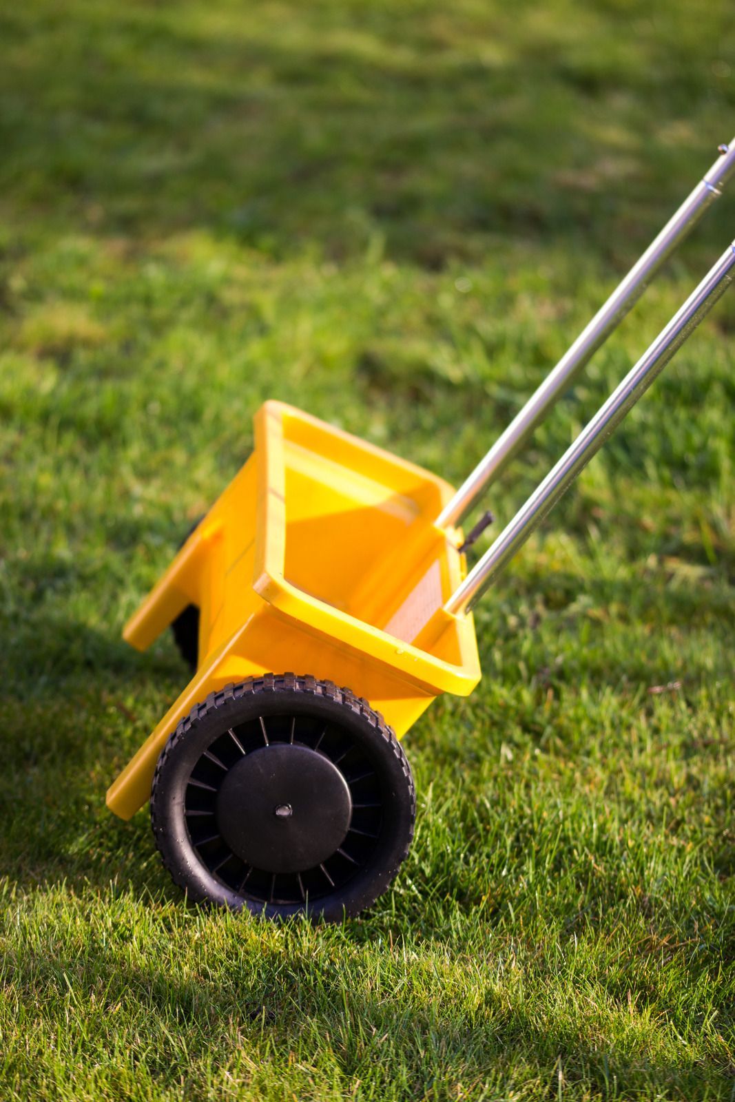 A yellow wheelbarrow is sitting on top of a lush green lawn.