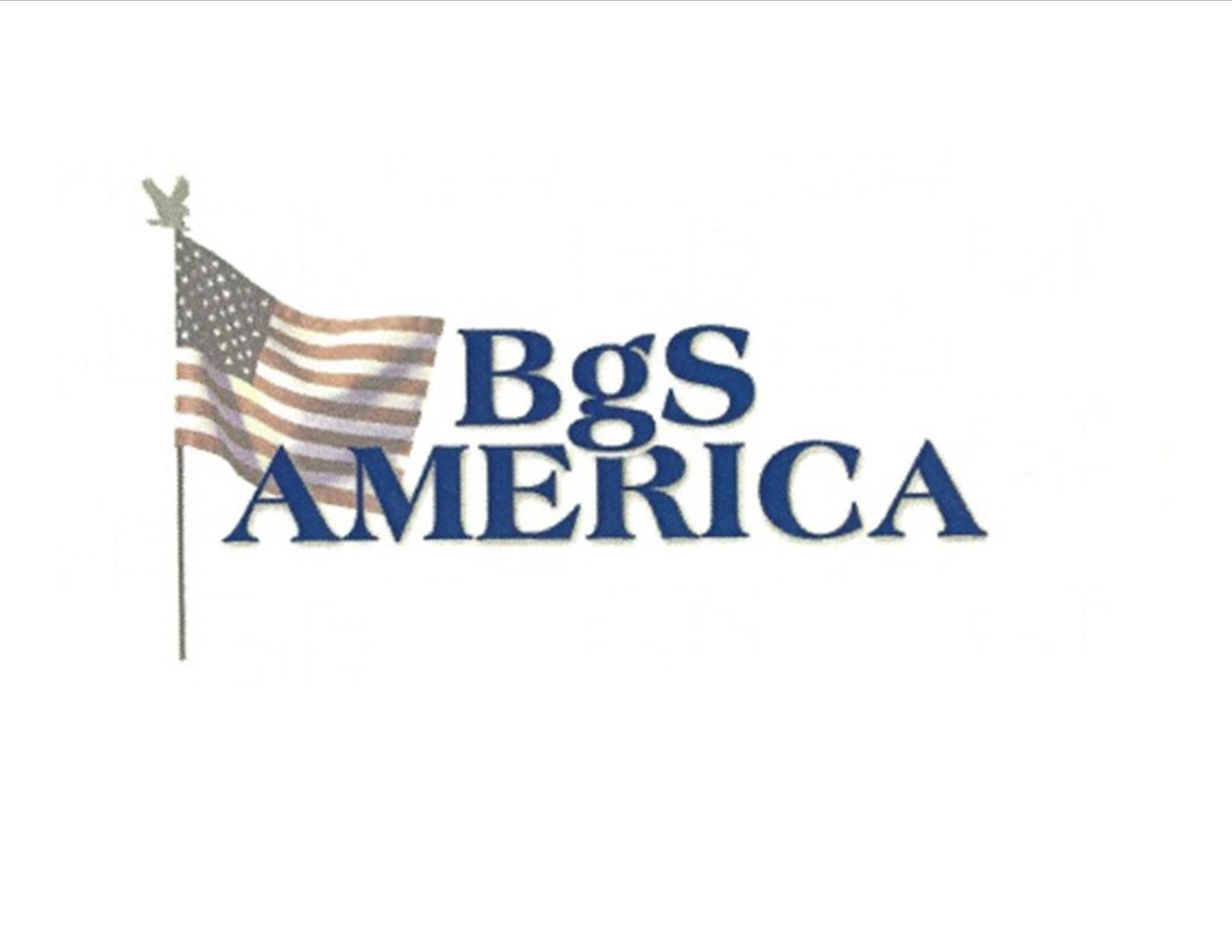 A logo for bgs america with an american flag