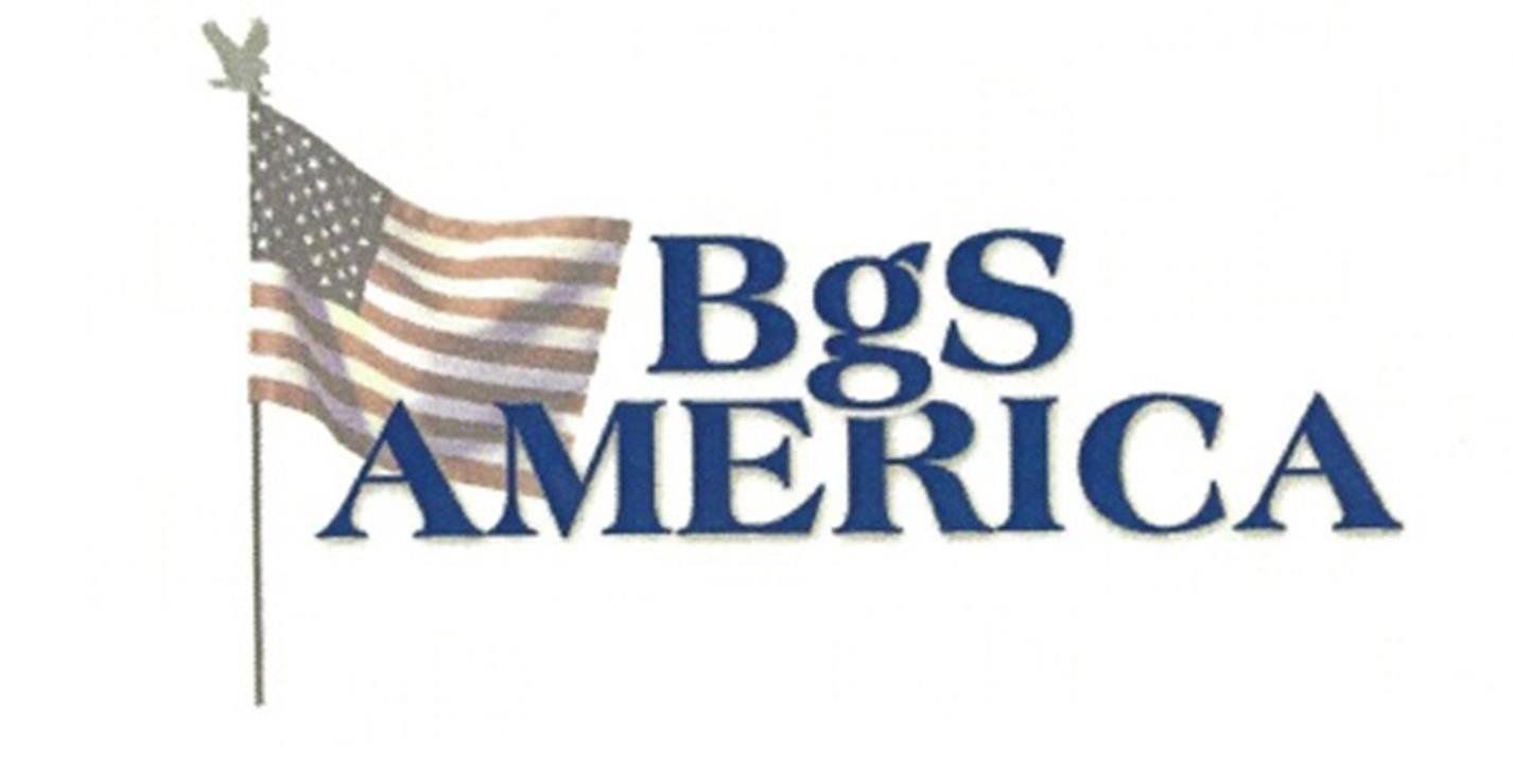 A logo for bgs america with an american flag