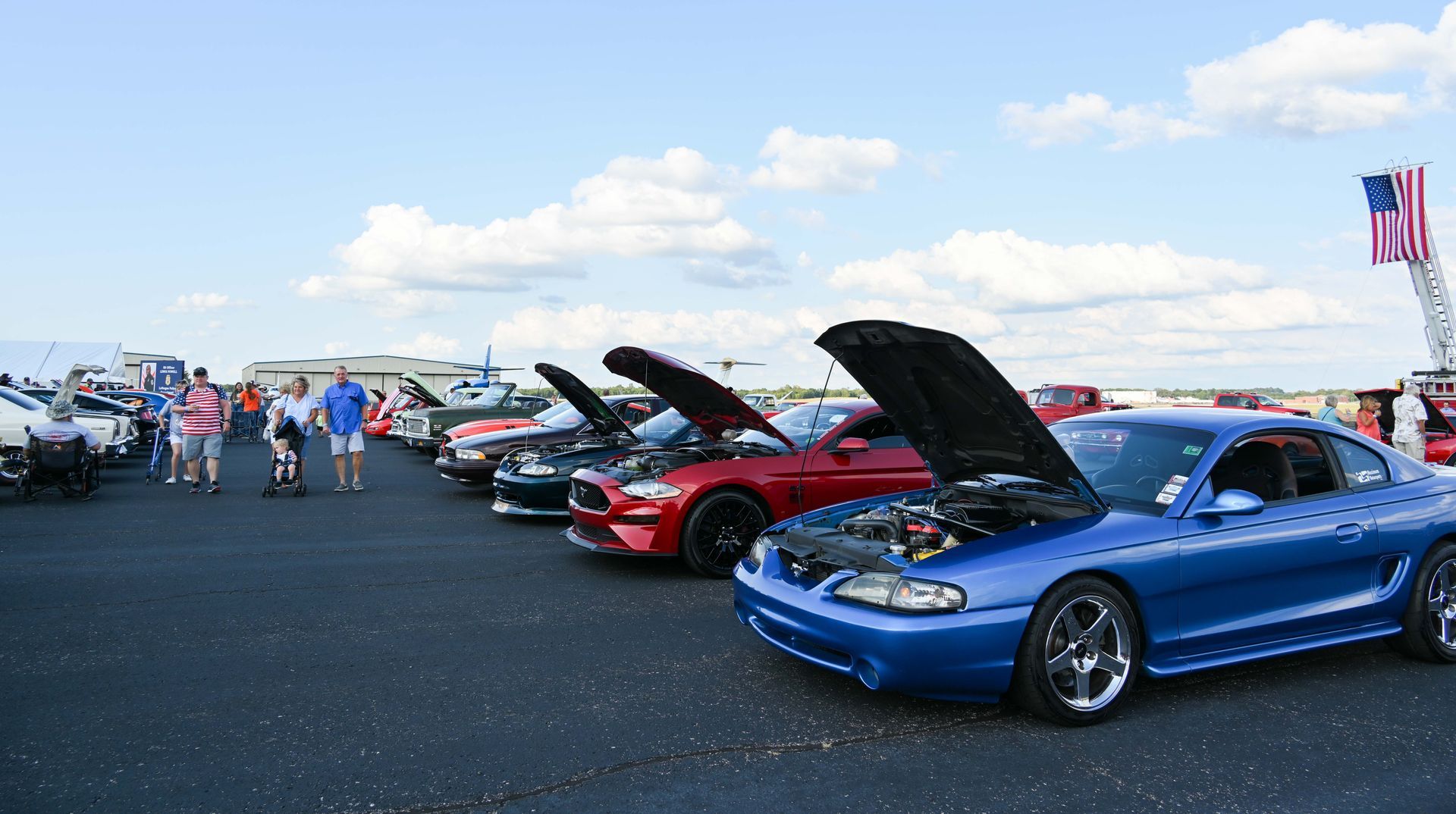 A row of cars are parked in a parking lot with their hoods up.