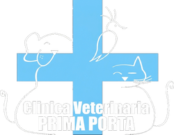 Croce veterinaria blu con un leggero contorno di animale e la scritta bianca 