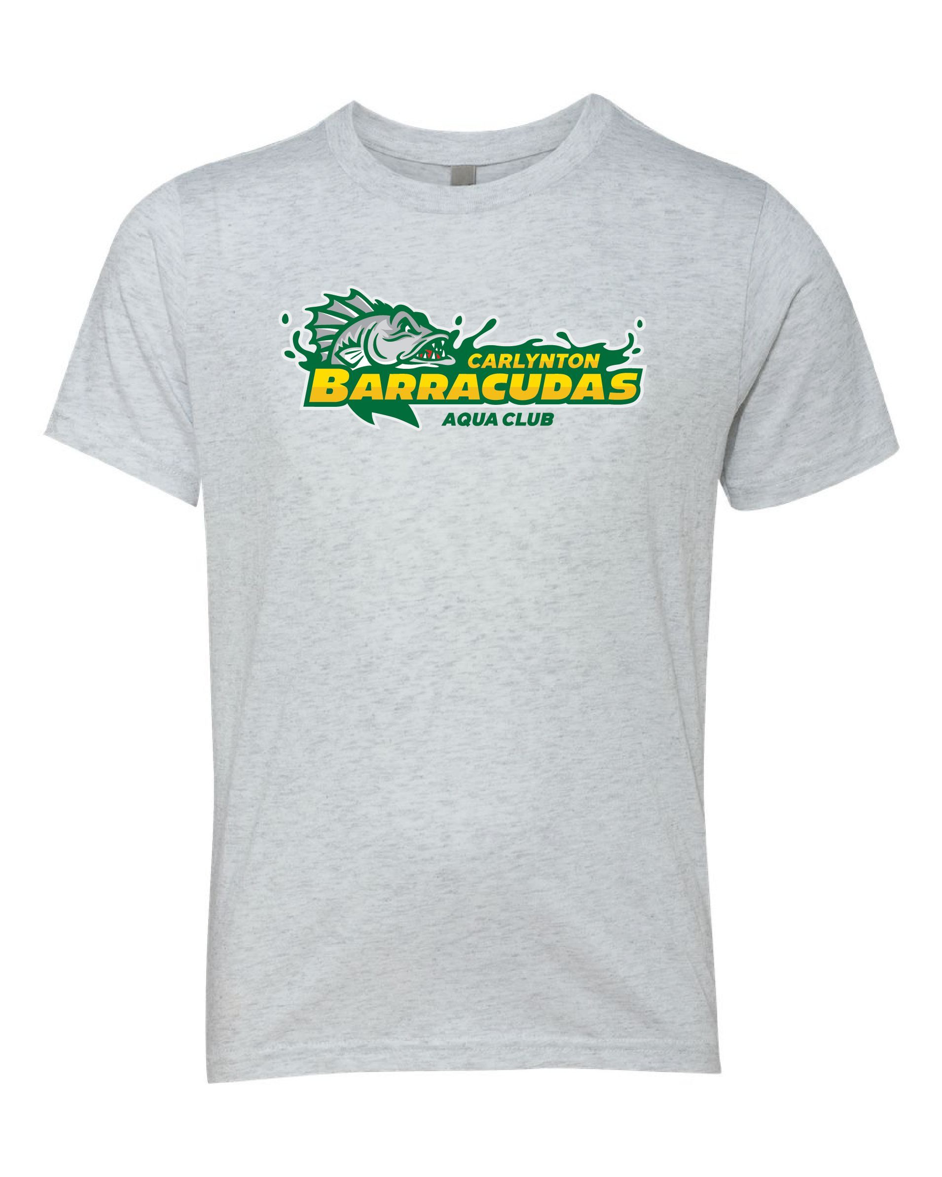 6310 Next Level Youth Triblend