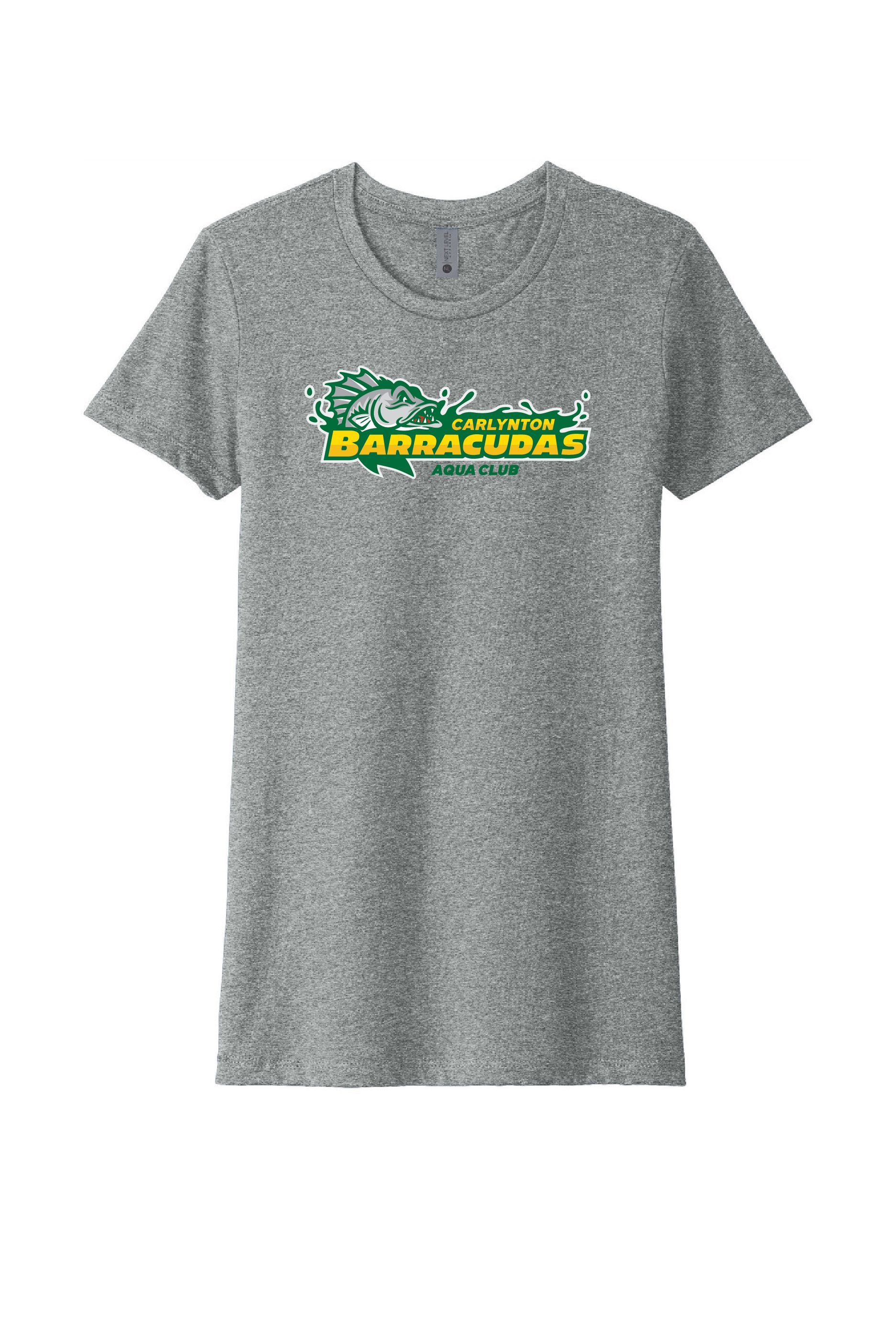 6610 Next Level Ladies CVC Tee