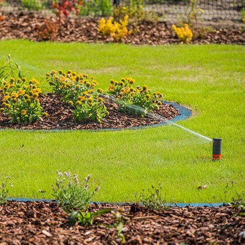 A lawn sprinkler is spraying water on a lush green lawn.