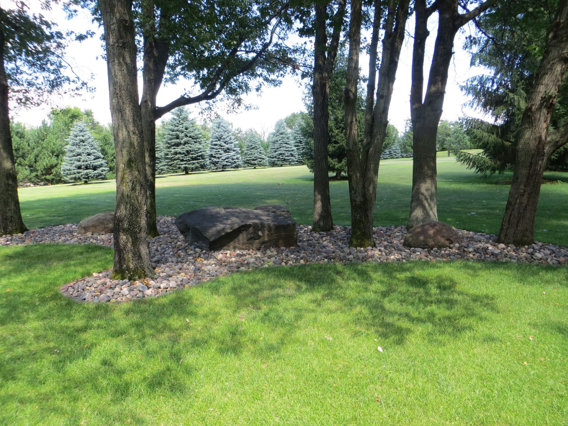 A large rock sits in the middle of rock garden with several trees. 