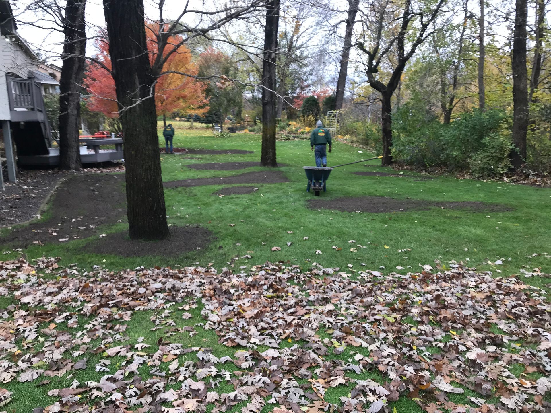 A lawn with a lot of leaves being cleaned up. 