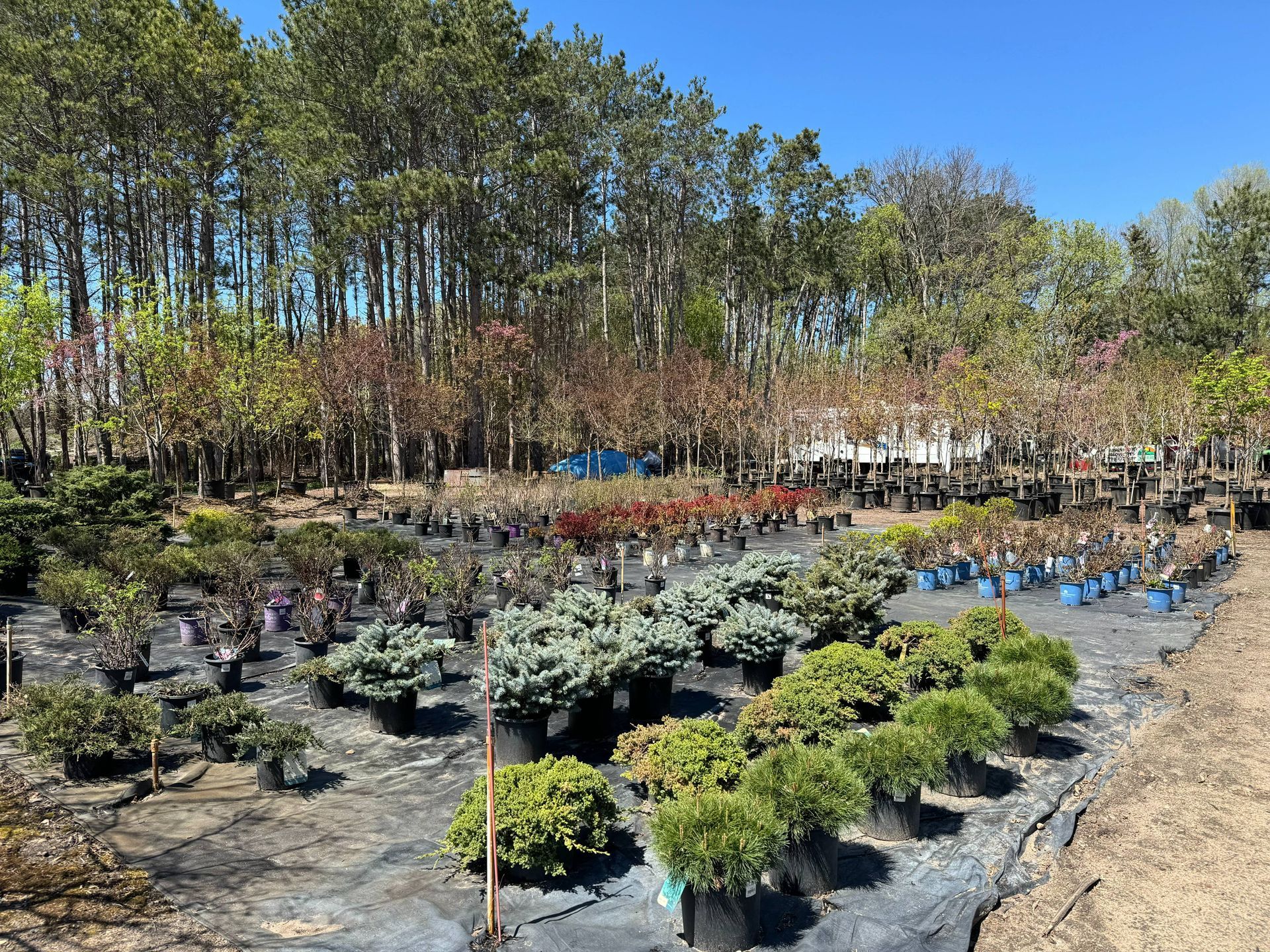 A garden center filled with lots of potted plants and trees.