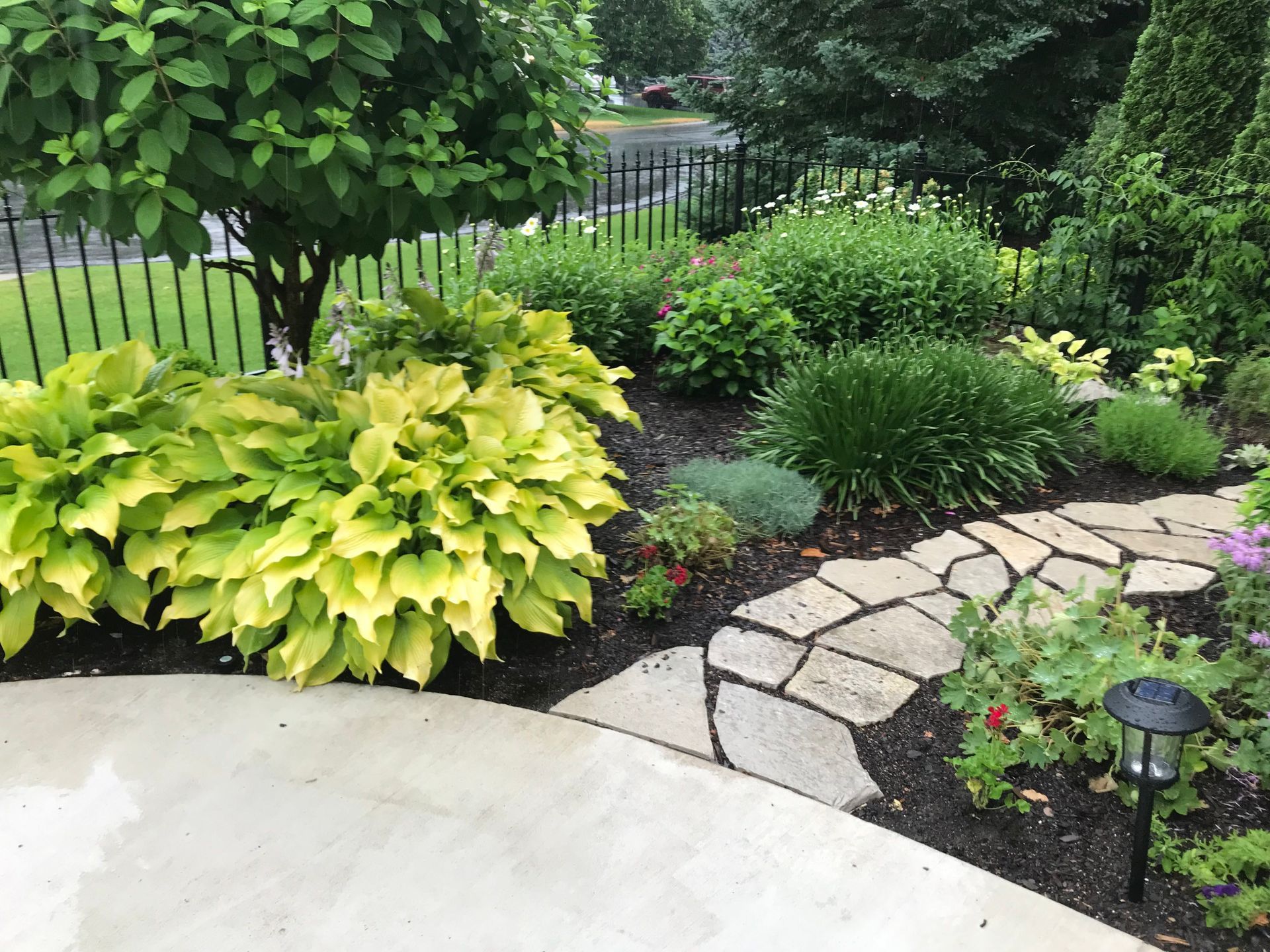 A stone walkway in a garden with lots of plants