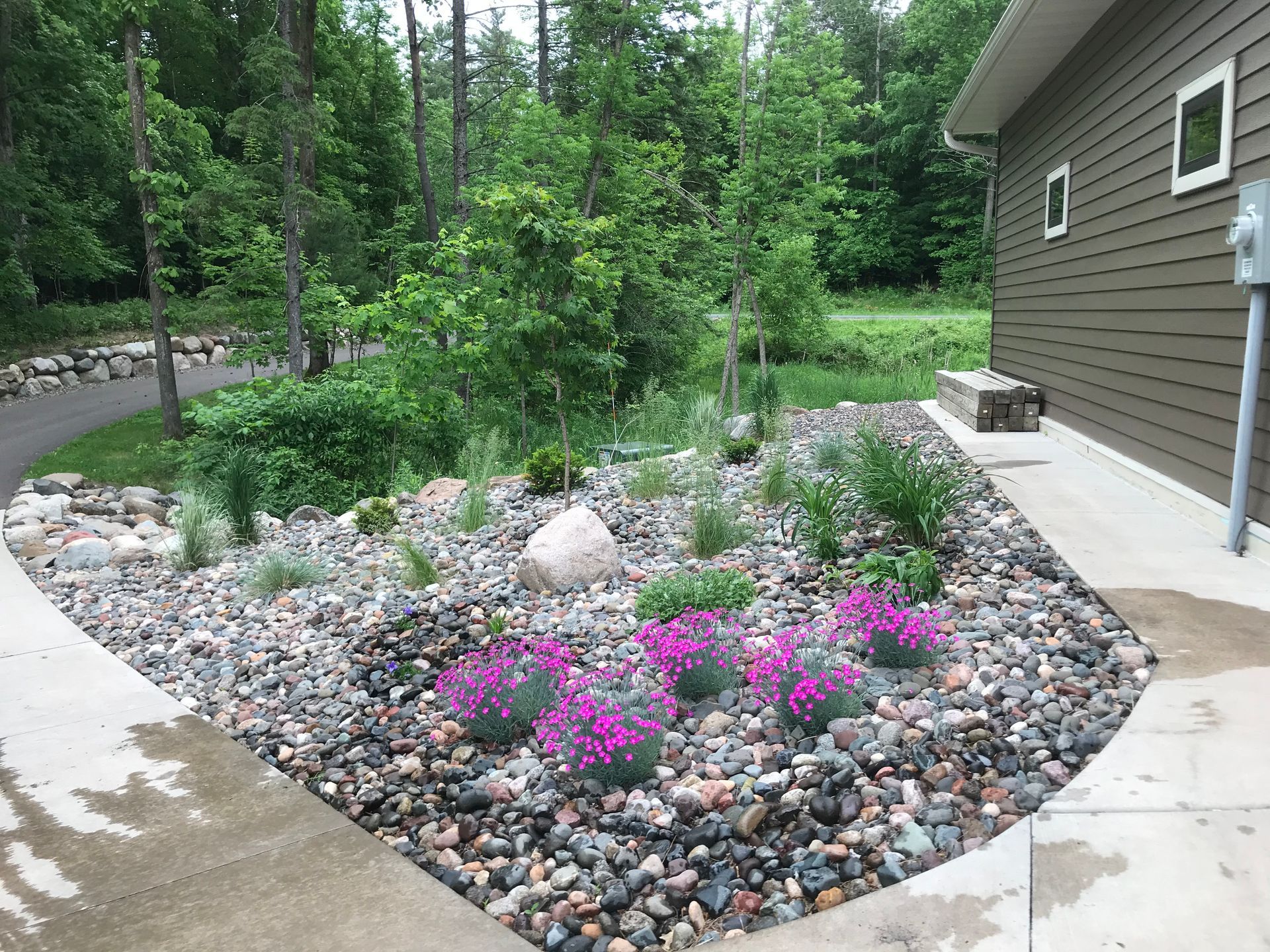 A rock garden with purple flowers in front of a house