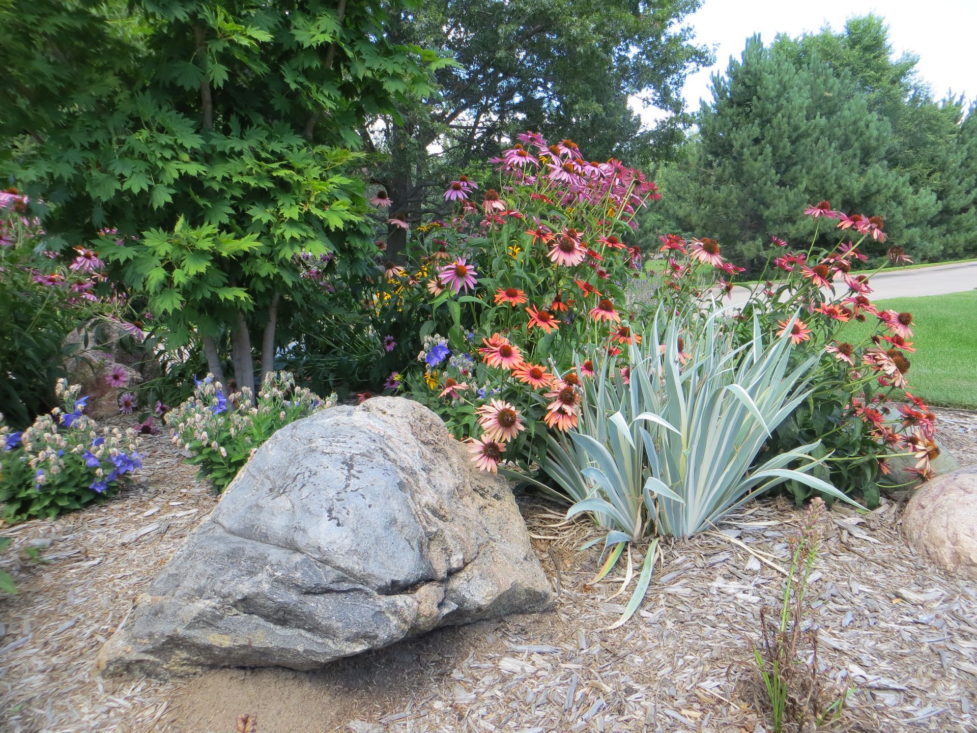 A rock is sitting in the middle of a garden surrounded by flowers.