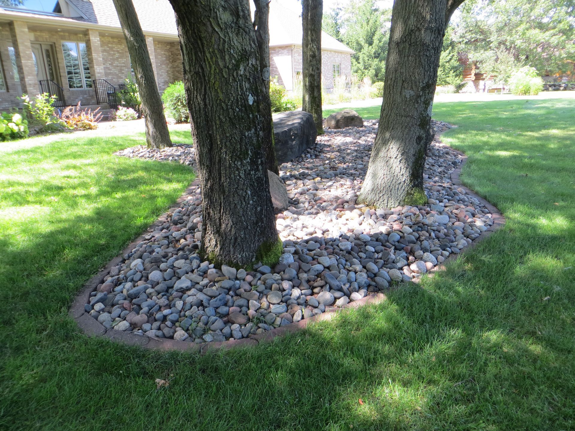 A tree surrounded by a rock garden in a yard in front of a house.