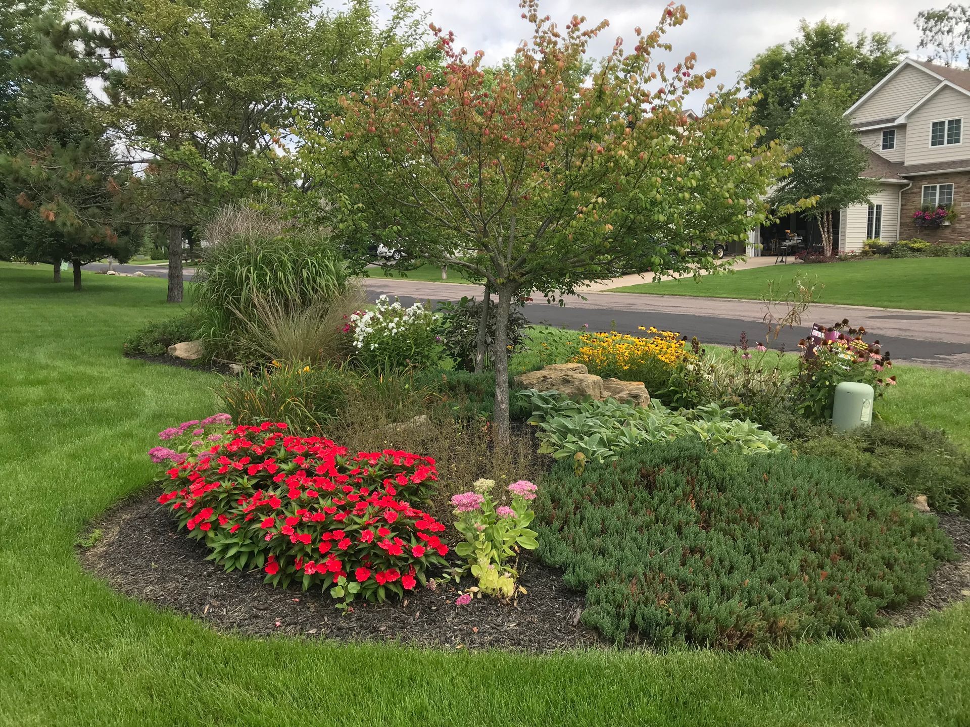 A garden with a mulch garden with flowers and trees in front of a house.