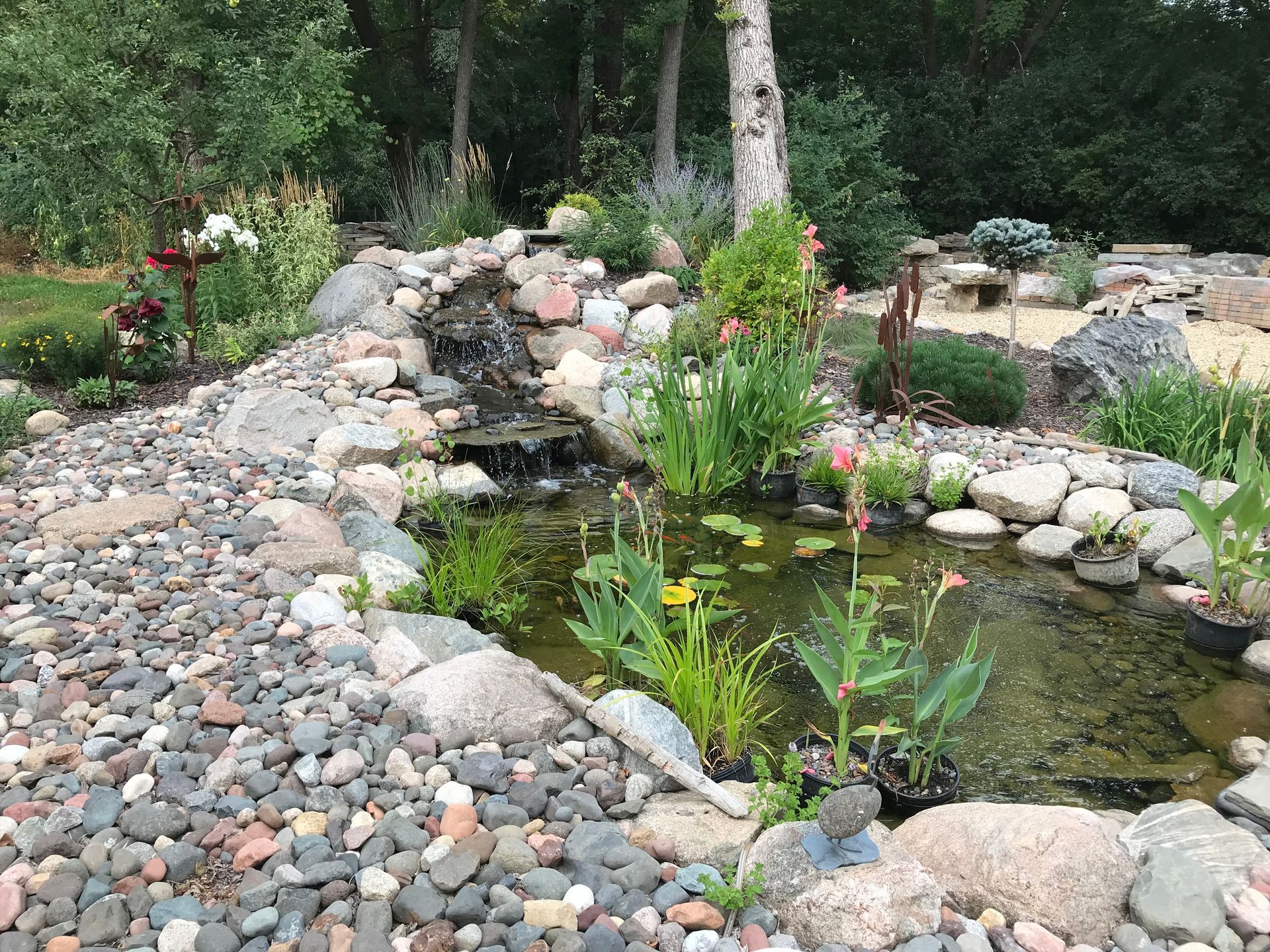 A pond surrounded by rocks and plants in a garden.