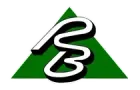 Logo featuring a stylized, white, cursive "PB" monogram set against a solid green triangle.