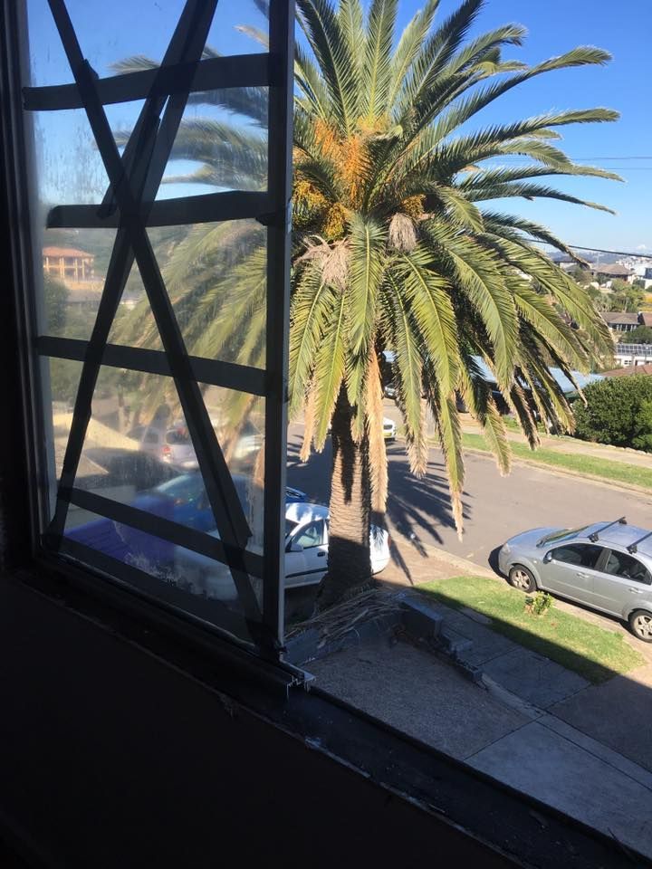 A Palm Tree is Visible Through a Window With a Car Parked in Front of  it — LVL Constructions in Newcastle, NSW